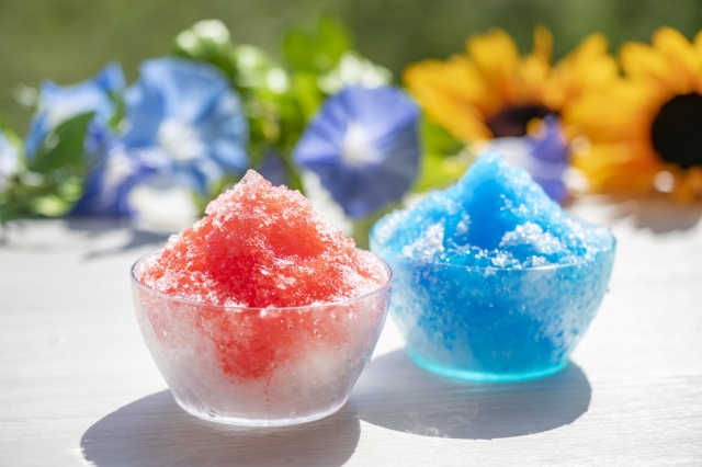 かき氷機 稼働します 7月15日迄の出品です‼️ 電動かき氷器 アイスグリーン DIN-B4GR【HO】 | DOSHISHA Marche