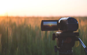 AdobeStock_113996957-scaled-1-