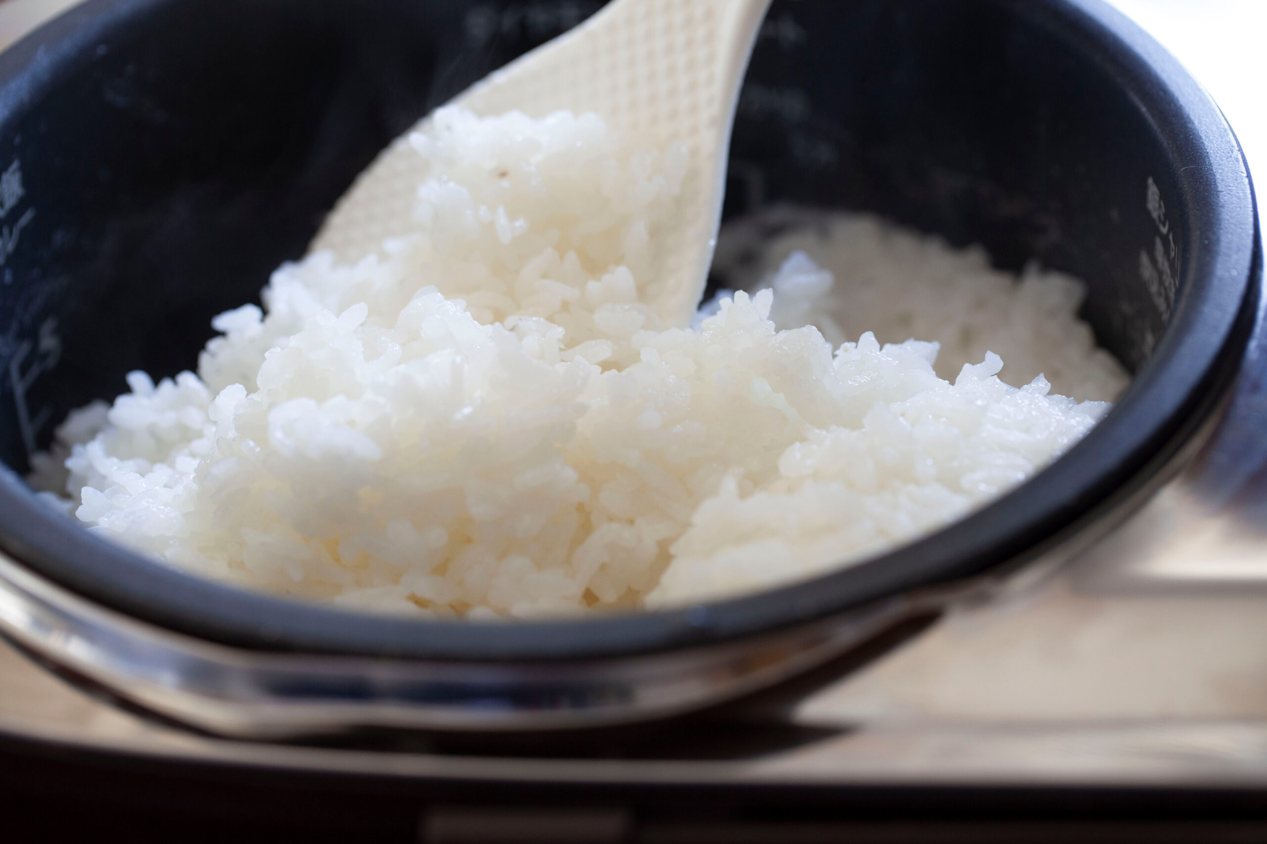 IH炊飯器2024年製 タイガー 炊飯器 2024年新製品 | Joshin webショップ 通販