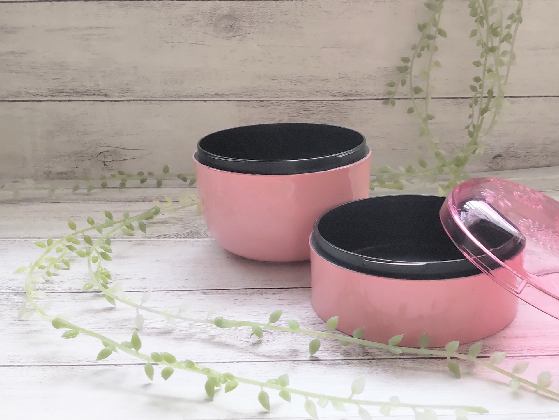 【2026年】女性に人気のお弁当箱おすすめ12選！可愛くて機能的だから毎日使いたくなる