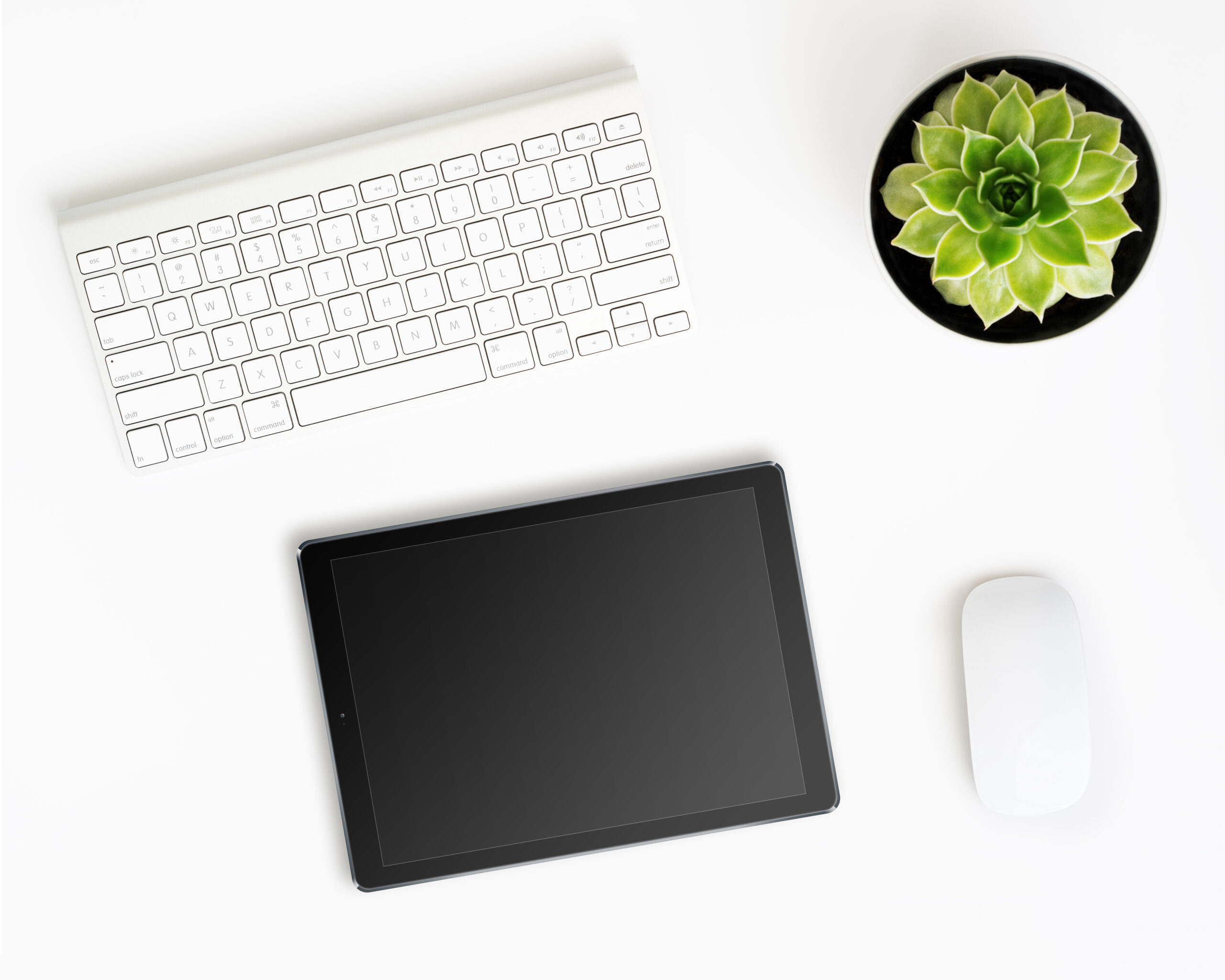 AdobeStock_115838737-scaled.jpeg
