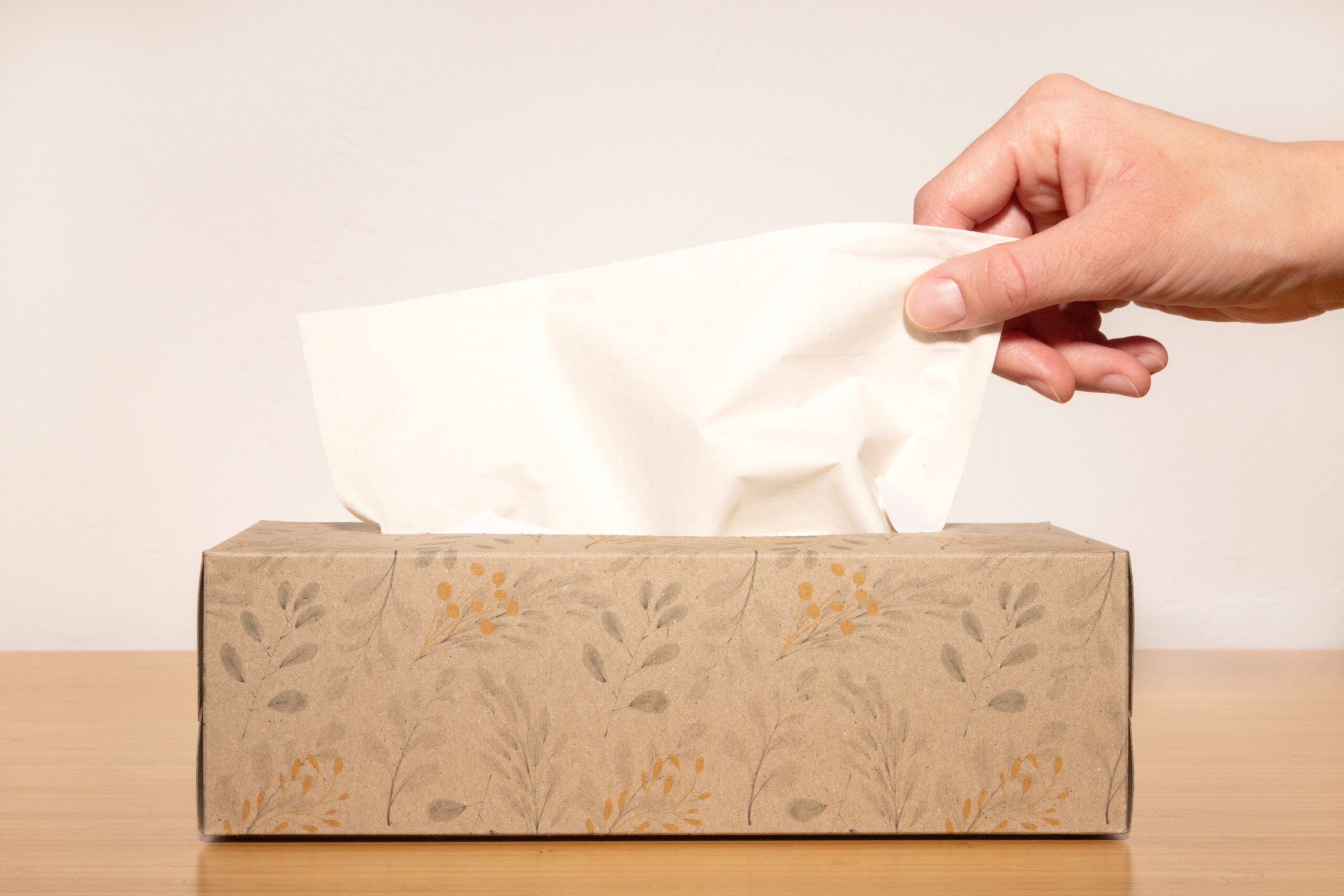 2026年】高級ティッシュのおすすめ11選！しっとりして柔らかい最高の